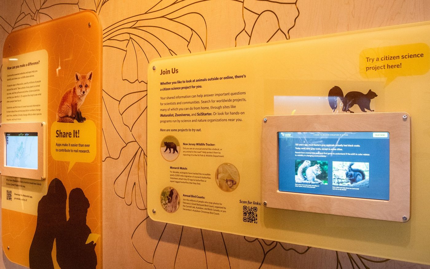 Citizen science wall with two custom touchscreen kiosks: iNaturalist map and squirrel finder game