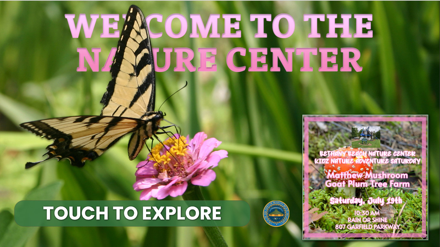 Nature Center kiosk attract screen: Welcome to the Nature Center, Touch to explore